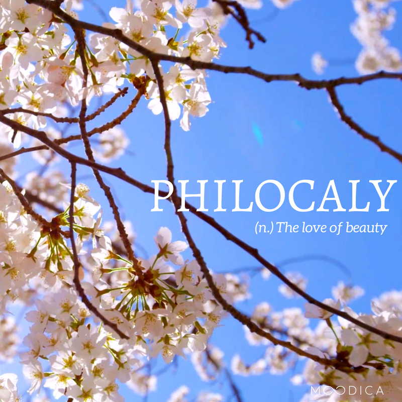 moodica's tweet photo. "Philocaly (n.): the love of beauty." #DictionaryDay #Moodica --> https://t.co/4yA5g2wMQt https://t.co/GAQ4Pr5tvA