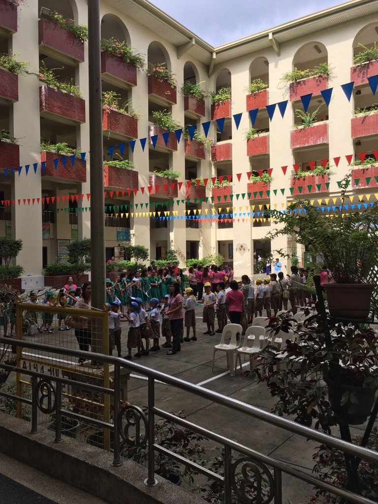 baby honu's incredible journey