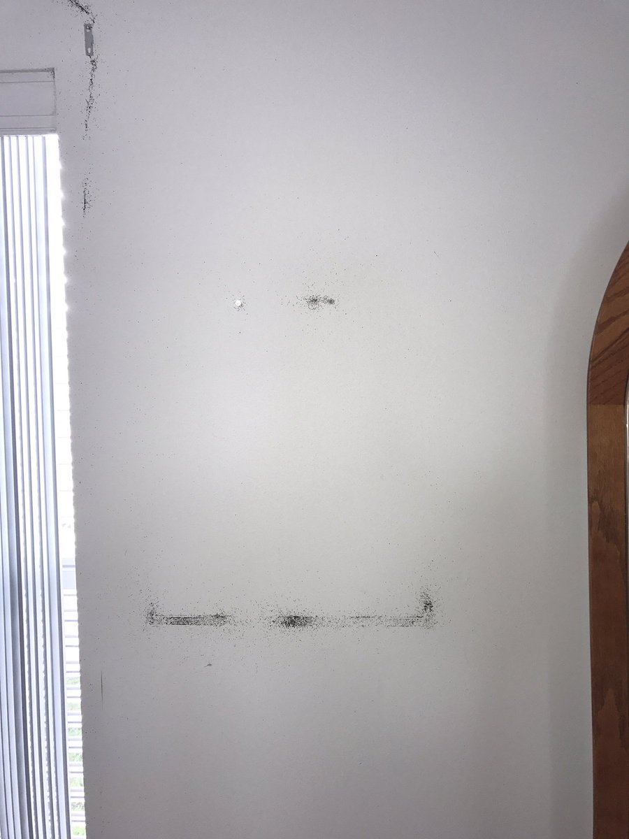 Ace Pest Management Acepestmgmt Twitter