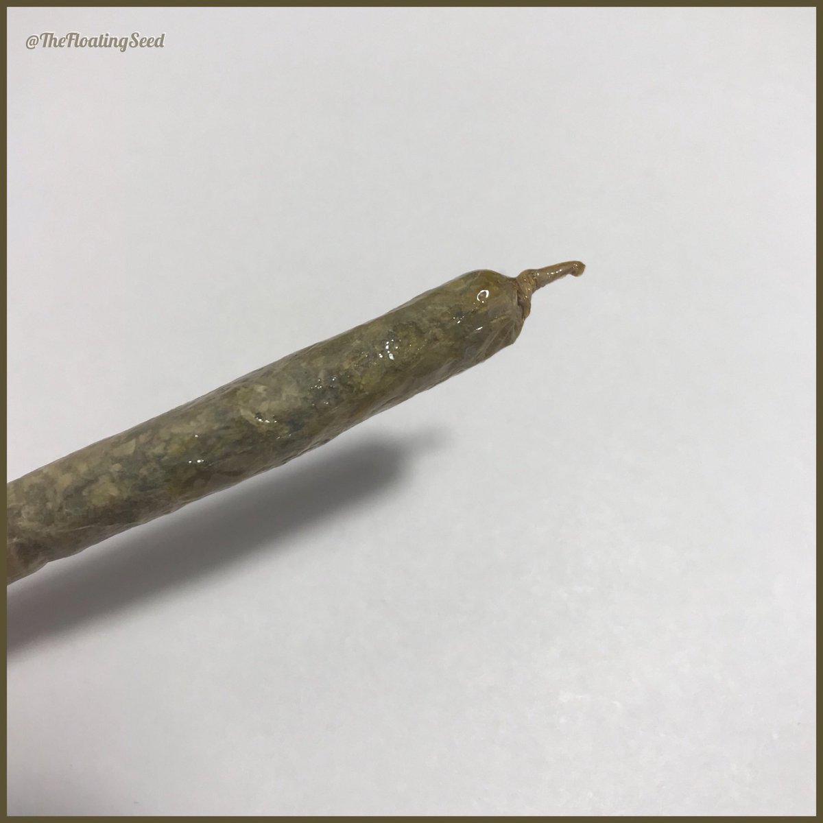 Odd_Puffin's tweet photo. Chiefin sweaty joints... Rosin coat.
#420 #Cannabis #CannabisCommunity #Weedstagram #Marijuana #Prop215 #Amendment64 #Terps #Dabs #Highlife #mmj #weedlife #garden #growyourown #cannabisextracts #fueledbythc #highsociety #terpenes #cannabinoids #710 #dab #twaxgang #bho https://t.co/DaXR6A0TQl