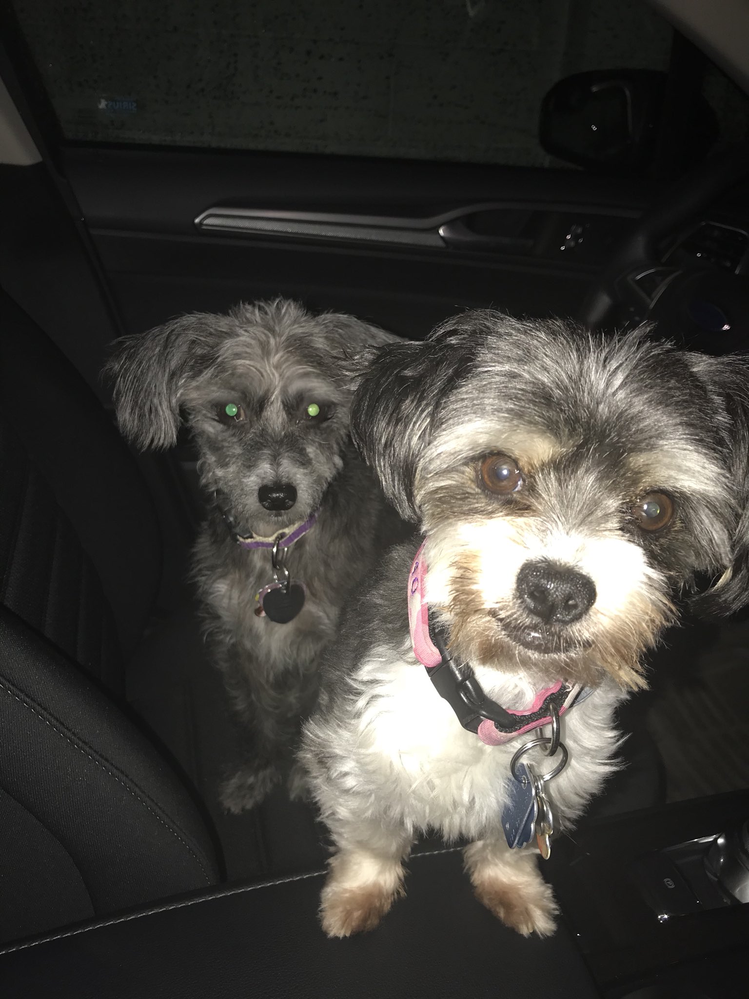  Happy Birthday! Xoxo, Thelma & Louise. Our Mama loves you on 