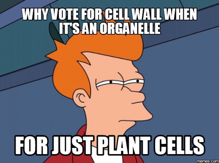 Ret_Endoplasmic's tweet photo. We need an organelle that works for everyone not just for some. Vote ER #MIO17 https://t.co/aKtJ2fO4WO
