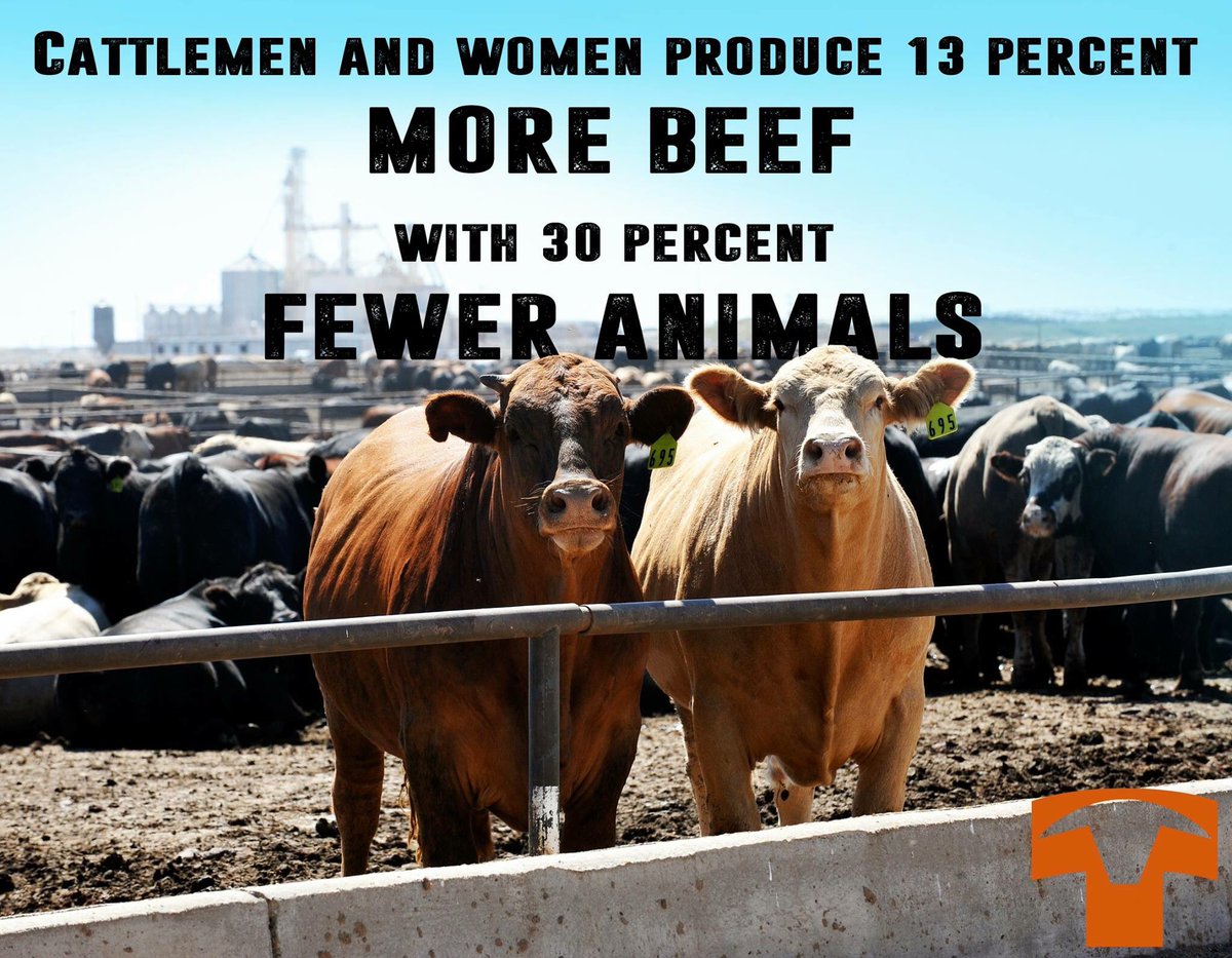 Texas Cattle Feeders Assn On Twitter We Will Continue To Make