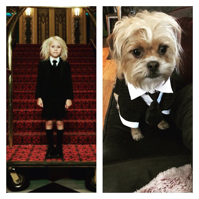 MarcysSoFresh's tweet photo. @AHStory  @ladygaga  @_AHSHOTELCORTEZ 😂 https://t.co/4MVBP3q1Q7