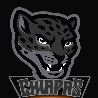 Décimo segundo equipo de la copa. Ellos son: 
Kings Of Chiapas