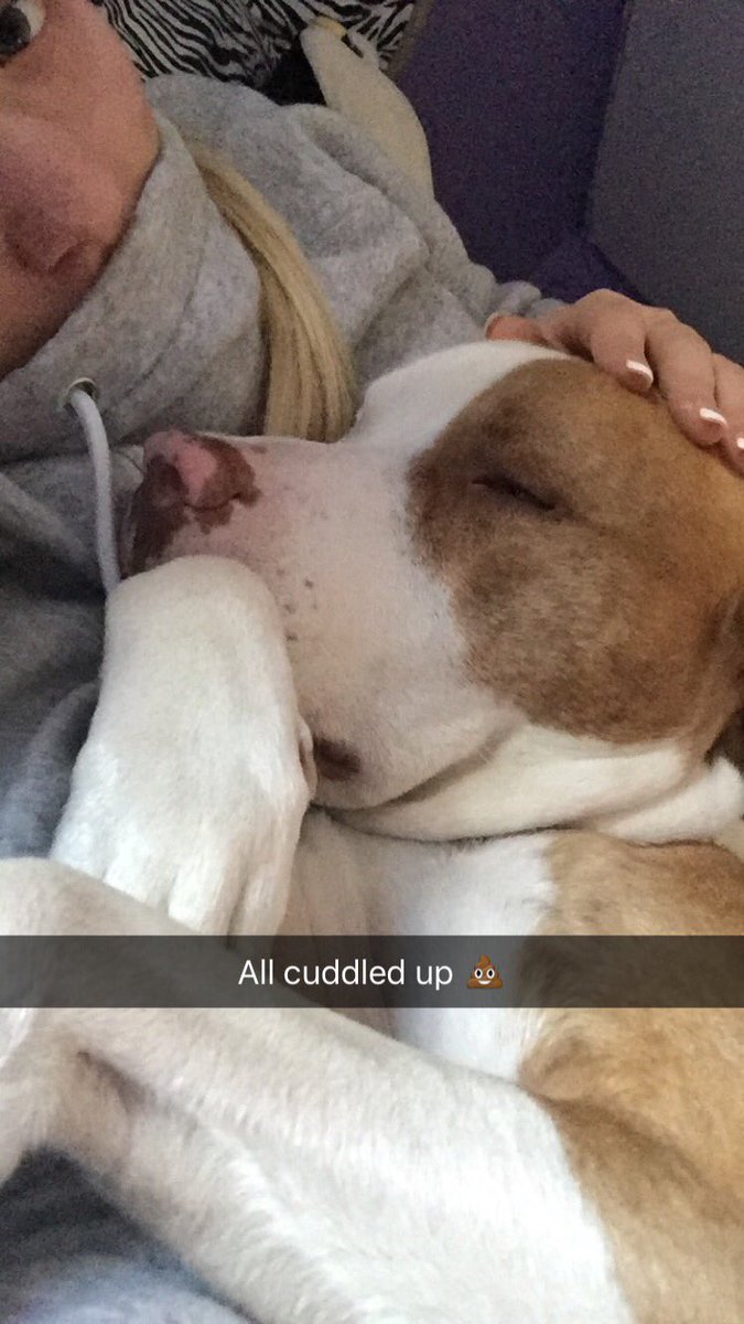 AlexisMossbrook's tweet photo. Cannot believe one of my fur babies is gone💔 one of the hardest &amp; saddest things to go thru😔 https://t.co/sxPx72IcP6