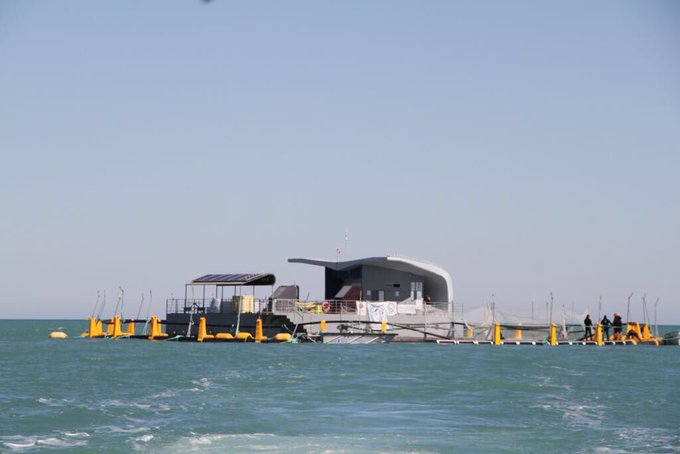 Ver imagen en Twitter