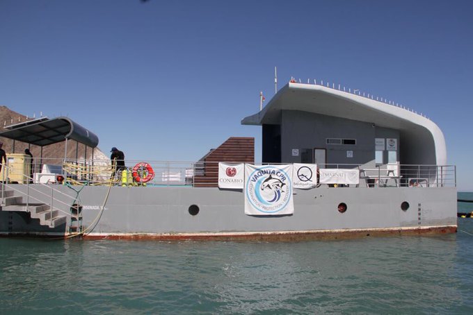 Ver imagen en Twitter