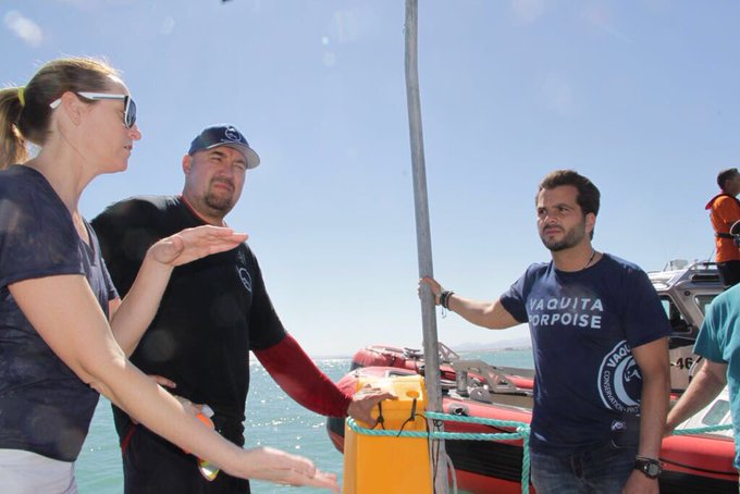 Ver imagen en Twitter