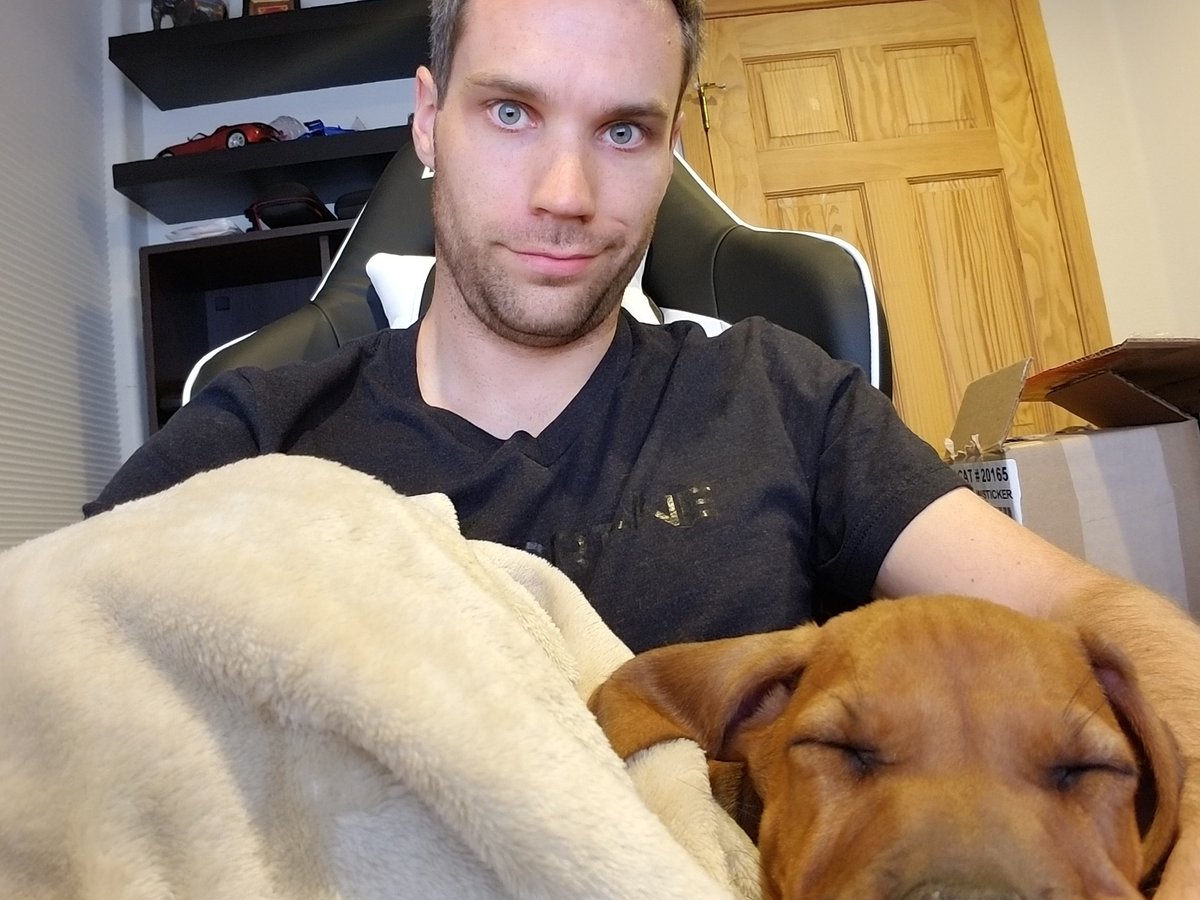 teslainventory's tweet photo. This is how I edit now! & game. Lol.. #youtube #computer #Tesla #teslainventory #dogsofinstagram #dogsoftwitter #adorable https://t.co/8E6Mh9ilZe