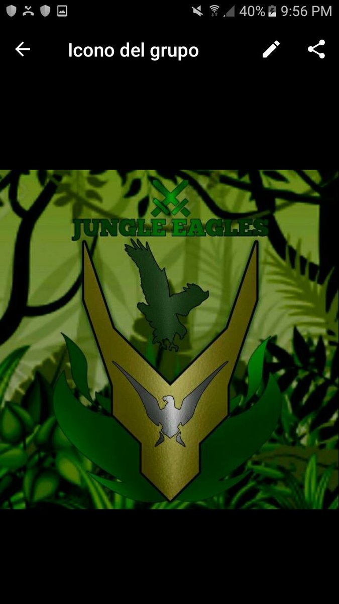 Ultimo equipo de la copa. Ellos son:
Jungle Eagles