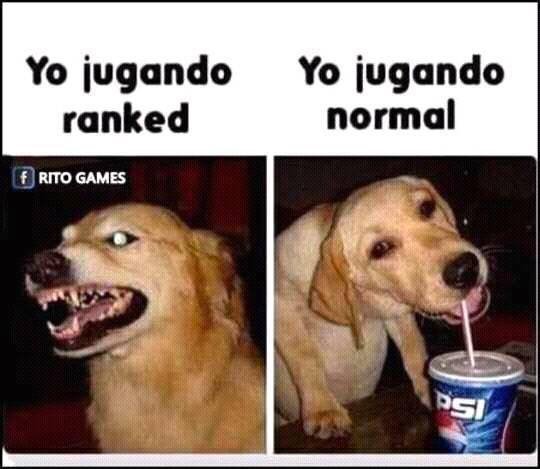 Yo al 1000% súper flamerrrr no me importa nadaaaaa