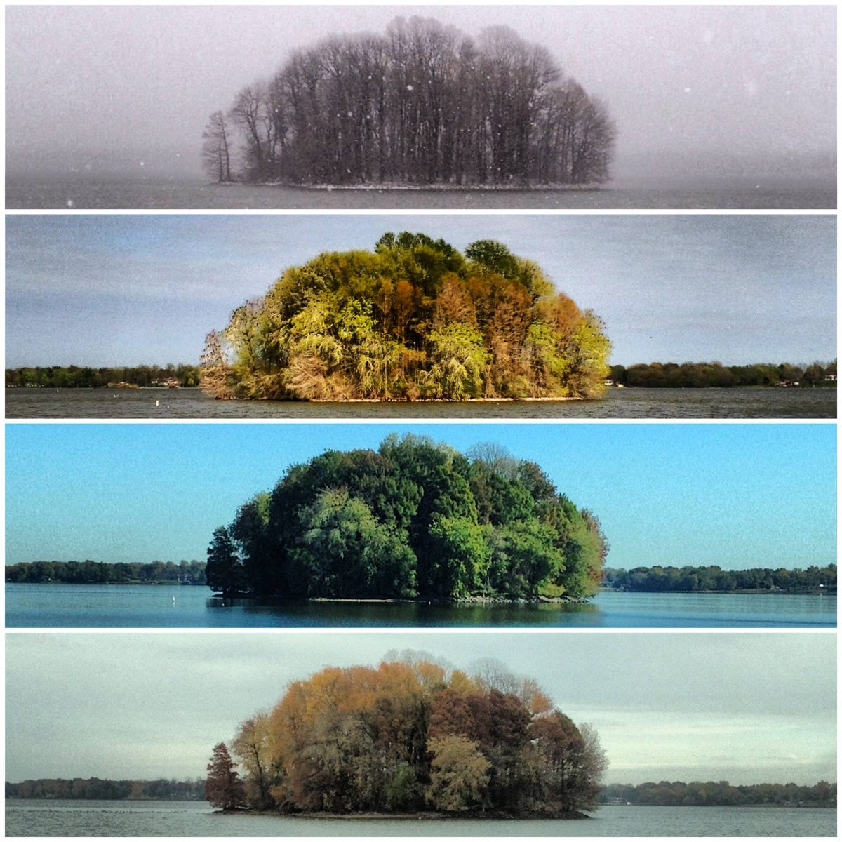 MindBlowing's tweet photo. Seasons - By Tylor Casson https://t.co/H6FpUeCdat