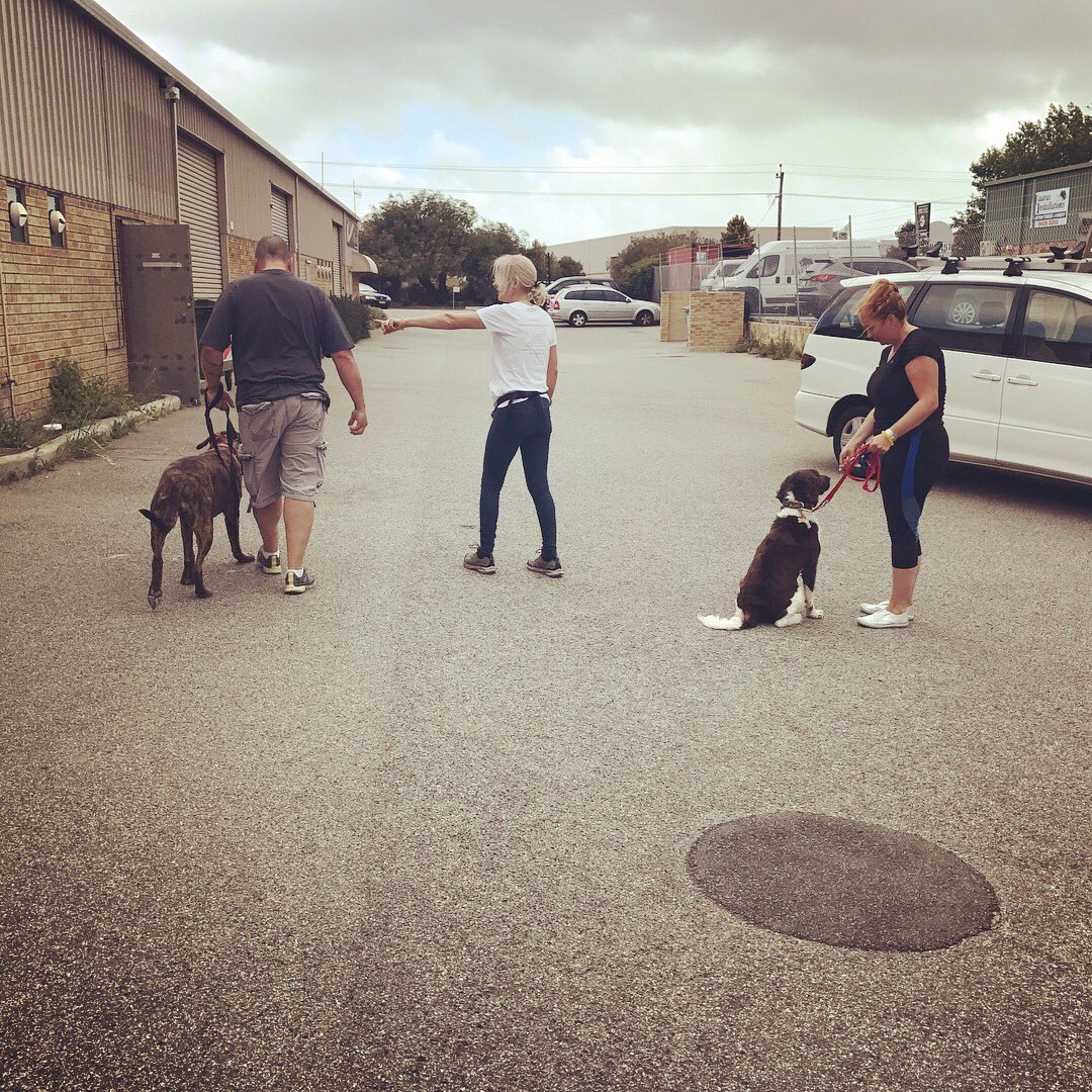 PatsPerth's tweet image. Congratulations to our Aggression Session graduates - you have come so far with your hard work and dedication.