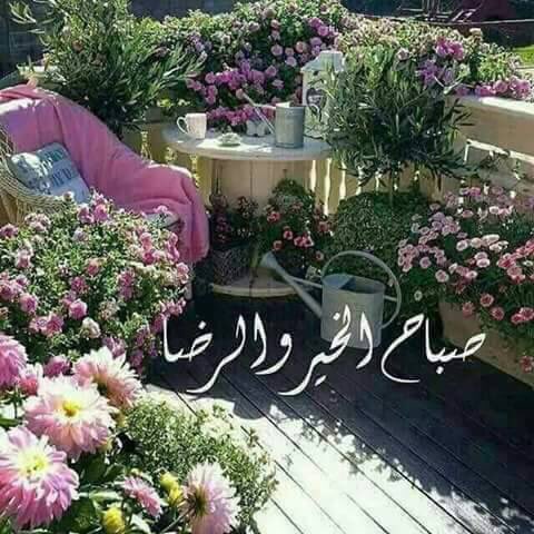 KalidChero tweet picture