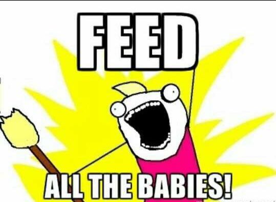 This #WorldFoodDay help our efforts to #FeedAllTheBabies.       canadahelps.org/en/charities/e…