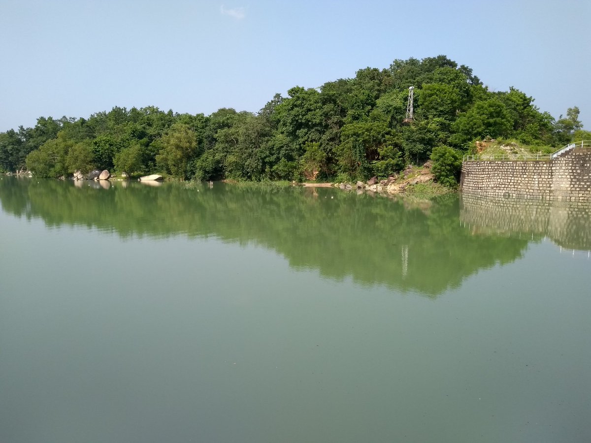 itzchampak's tweet photo. When the nature is reserved...
#IncredibleOdisha #Odisha #OdishaExpress 
#RemalDam #Brahmanipal #Kendujhar https://t.co/EVWU6AkexP