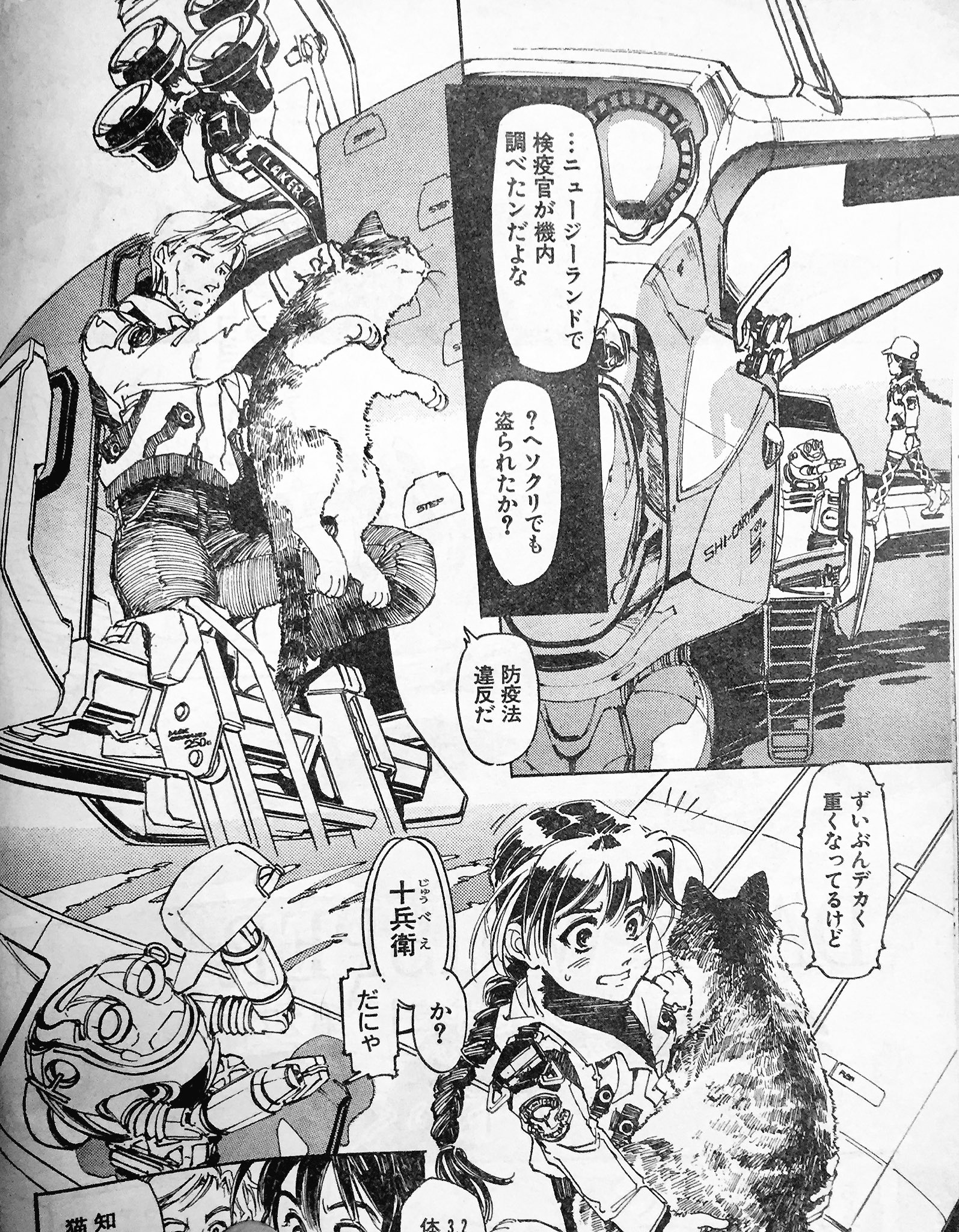 山下いくと エヴァンゲリオンanima全5巻 学生時代の友人の岩ちゃんに久しぶりに会った ダークウィスパーの猫の十兵衛は 名前も姿も彼ンちの猫がモデル