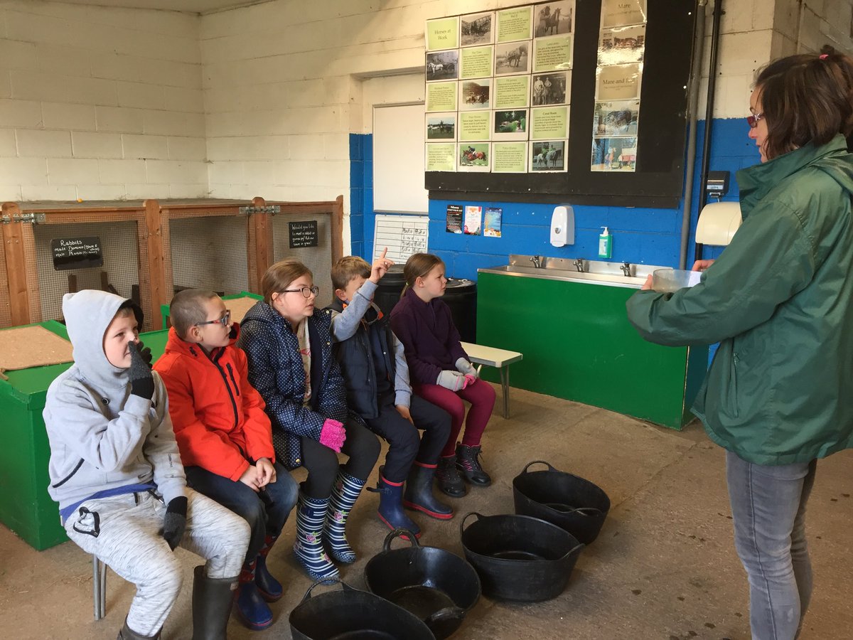 Woodlands Primary tweet media