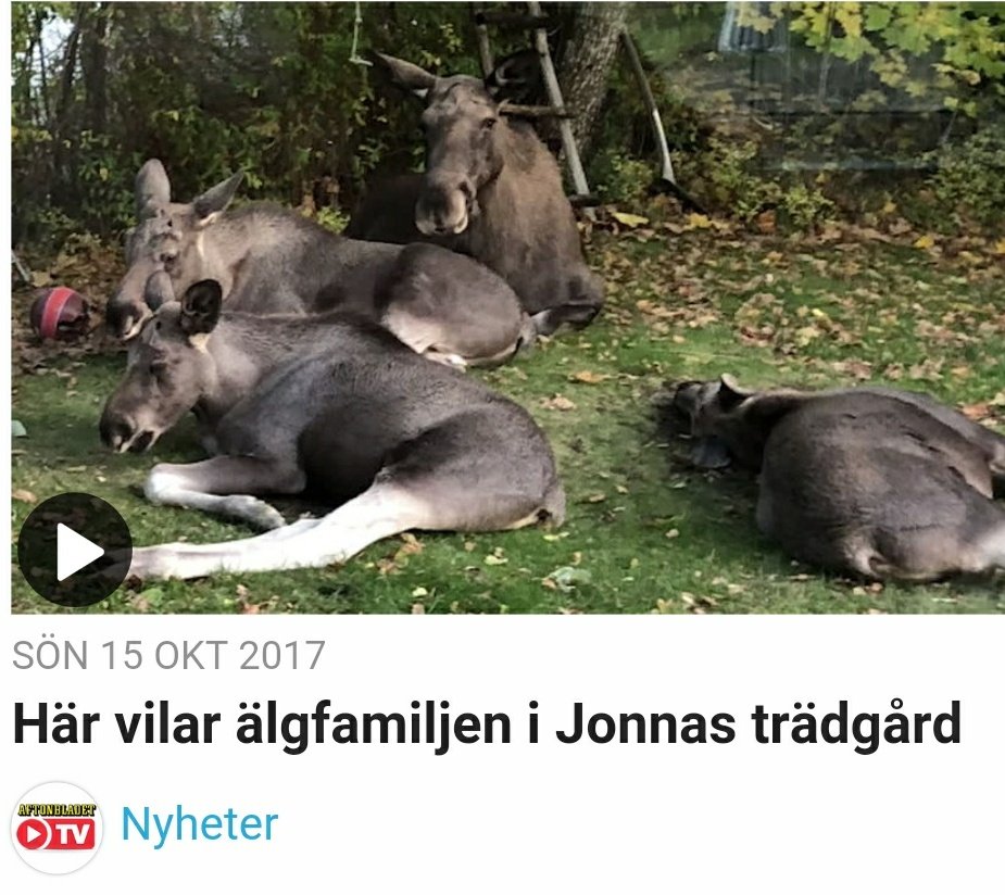 twitrarn's tweet photo. *cissi wallin går ut offentligt med att fredrik virtanen drogat och våldtagit henne*

aftonbladet: https://t.co/yJqMo5IvTJ
