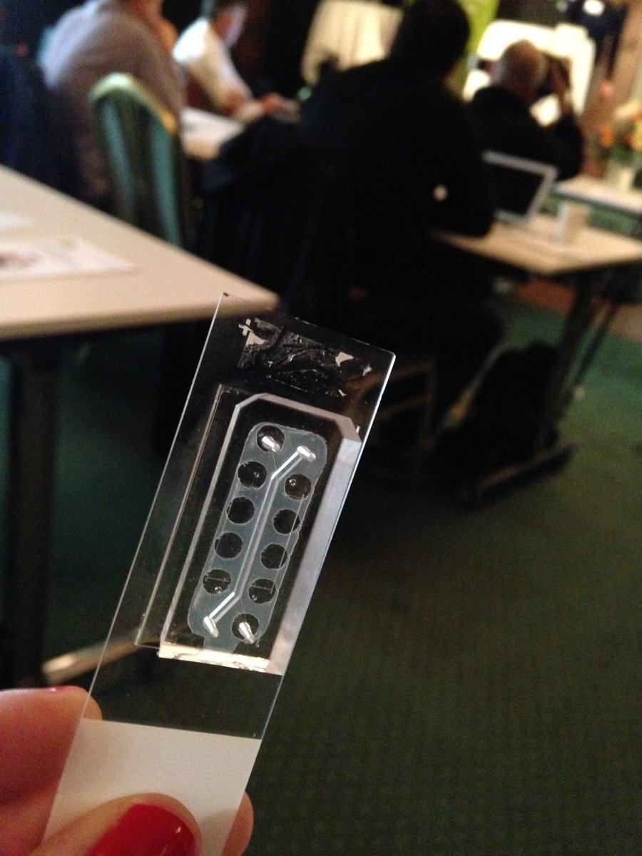 CamillaBjorkbom's tweet photo. Organ-on-chip. Avancerad djurfri modell av blodkärl som skapar flöde i hjärnan. Chiporganen kan kopplas ihop med andra chiporgan #nyametoder https://t.co/8vmR5yrROj