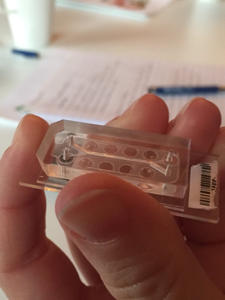 EwaEllis4's tweet image. Hjärnan och andra organ på ett chip. Anna Herland. Spännande! Kanske något för våra primära hepatocyter?#nyametoder