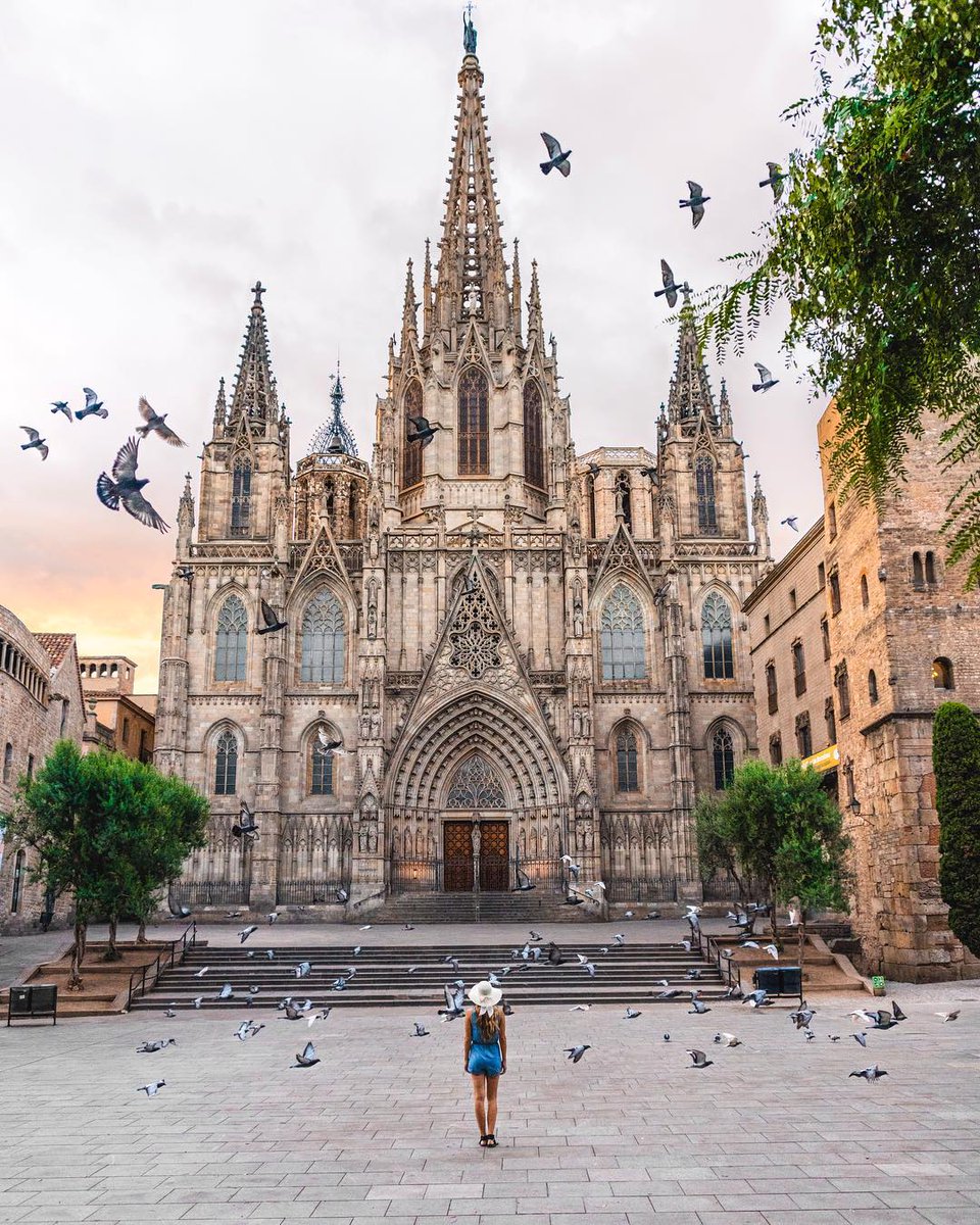 thisis_bcn_ES's tweet photo. Nada como una foto de la #Catedral a primera hora de la mañana para empezar bien el día. ¡Feliz martes! 

[📸 ©barnadrift] https://t.co/8iN12C7LjP