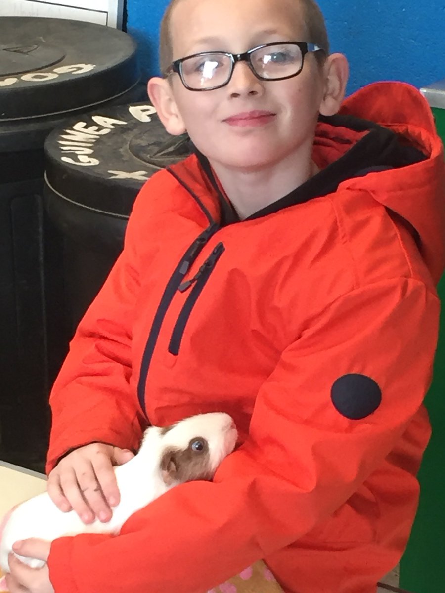 Woodlands Primary tweet media