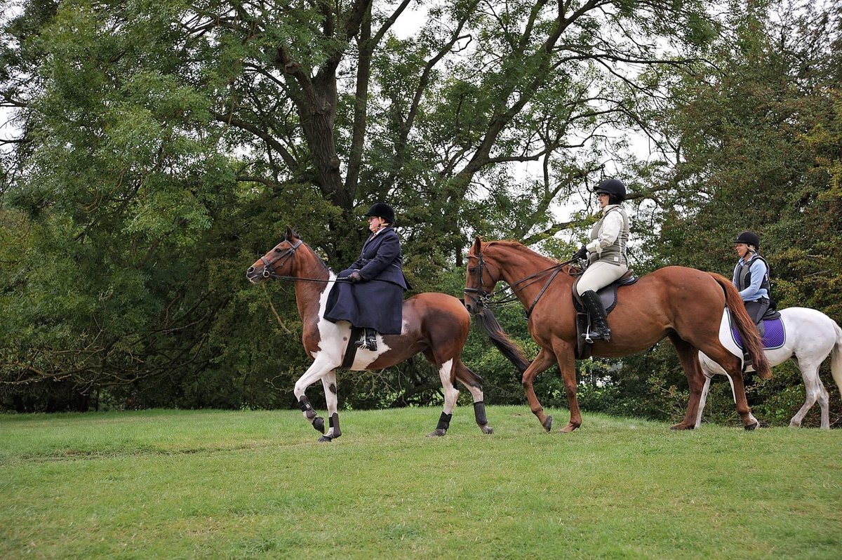 BurghleyRide's tweet photo. Thrilled to have raised £22,800 (£650 more than last yr) to distribute to our equine &amp; local charities via Stamford XT.  

@ahtofficial https://t.co/JXxNy7cxyo