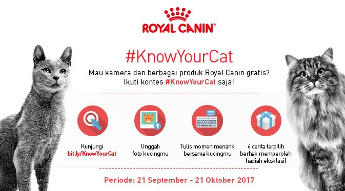 RoyalCanin_ID's tweet photo. Jangan bilang kamu belum kirim cerita kamu? Yuk share sekarang di https://t.co/ZVL4hrvDvp! Hari ini terakhir lho! #KnowYourCat https://t.co/59VFiMigxK