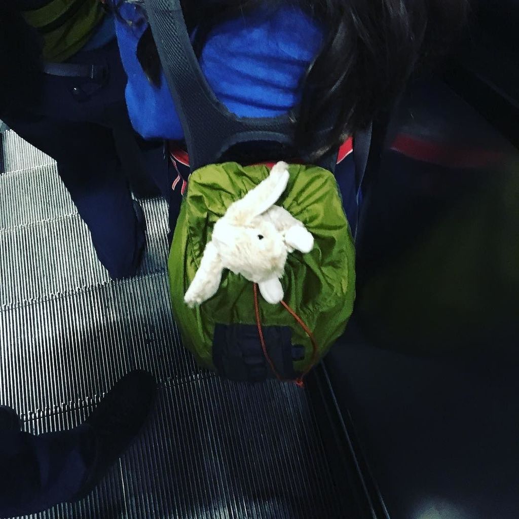 oroscopoxtutti's tweet photo. Sorpresa! Questa bimba che lascia che il suo peluche sbuchi dallo zaino sarà una #pesci o una #cancro ❤️⭐️🦄#astrot… https://t.co/RJNTDQVjQq https://t.co/nNND7Y2WWr