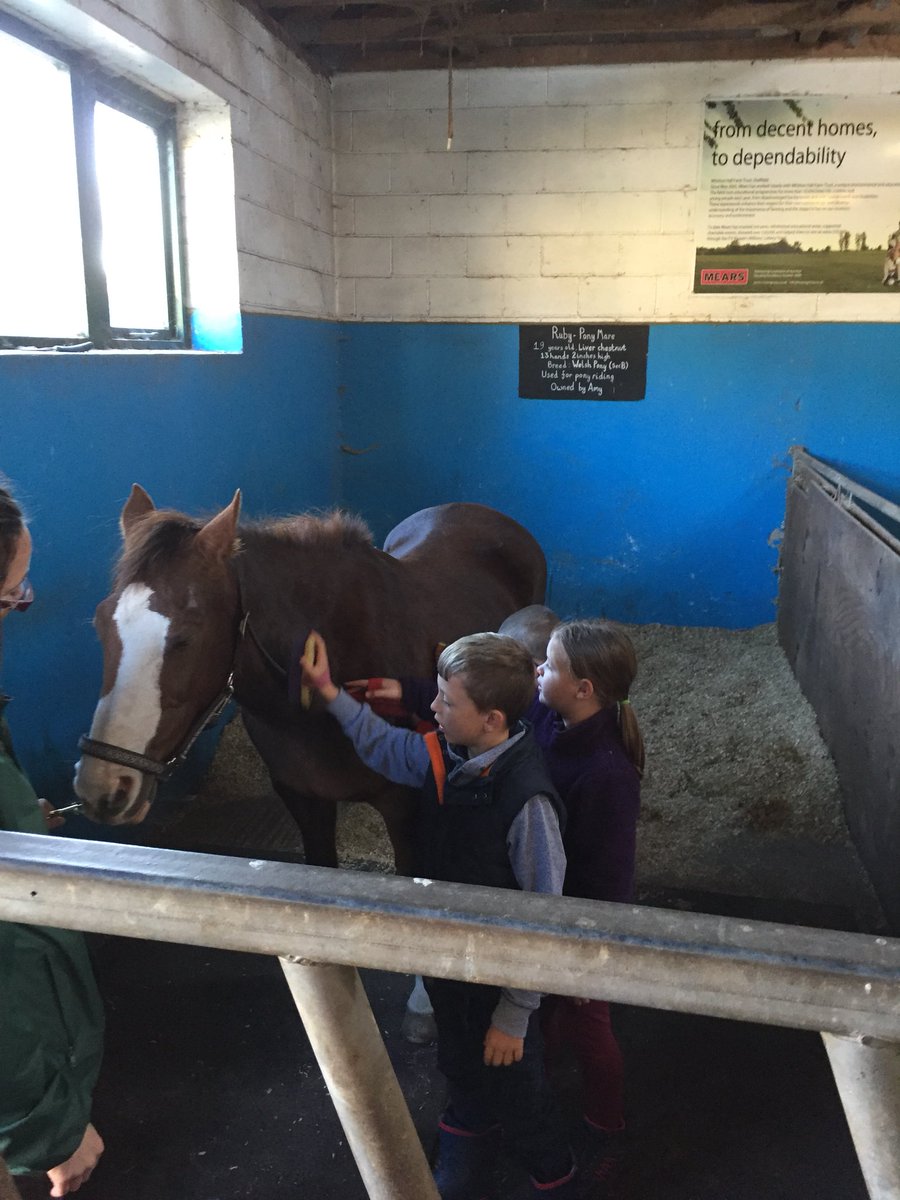 Woodlands Primary tweet media