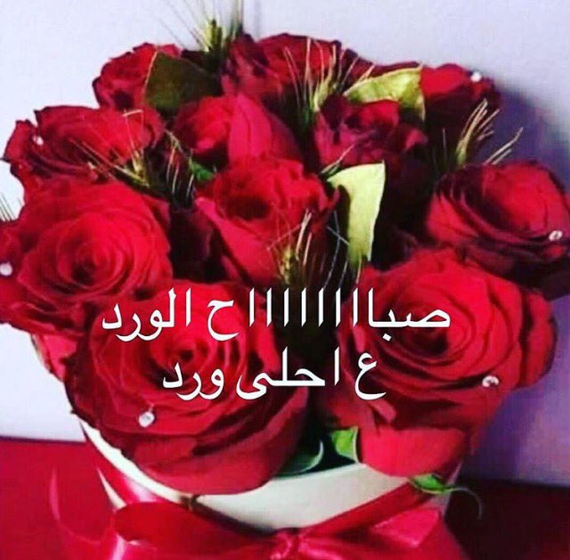 SalhaAssiry (@sahmeda00) on Twitter photo 
