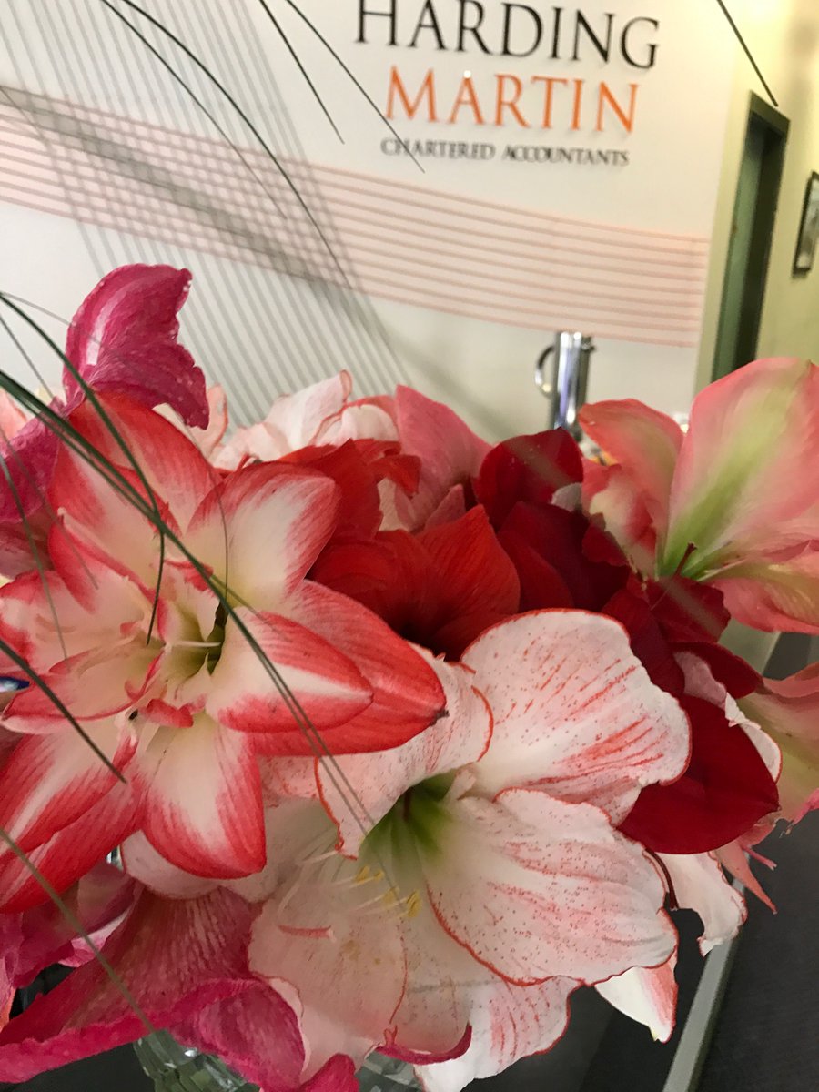HardingMartinCA's tweet image. With thanks to Maria’s mum for the home grown “hippis”.  They certainly brighten up reception with their beautiful colours.