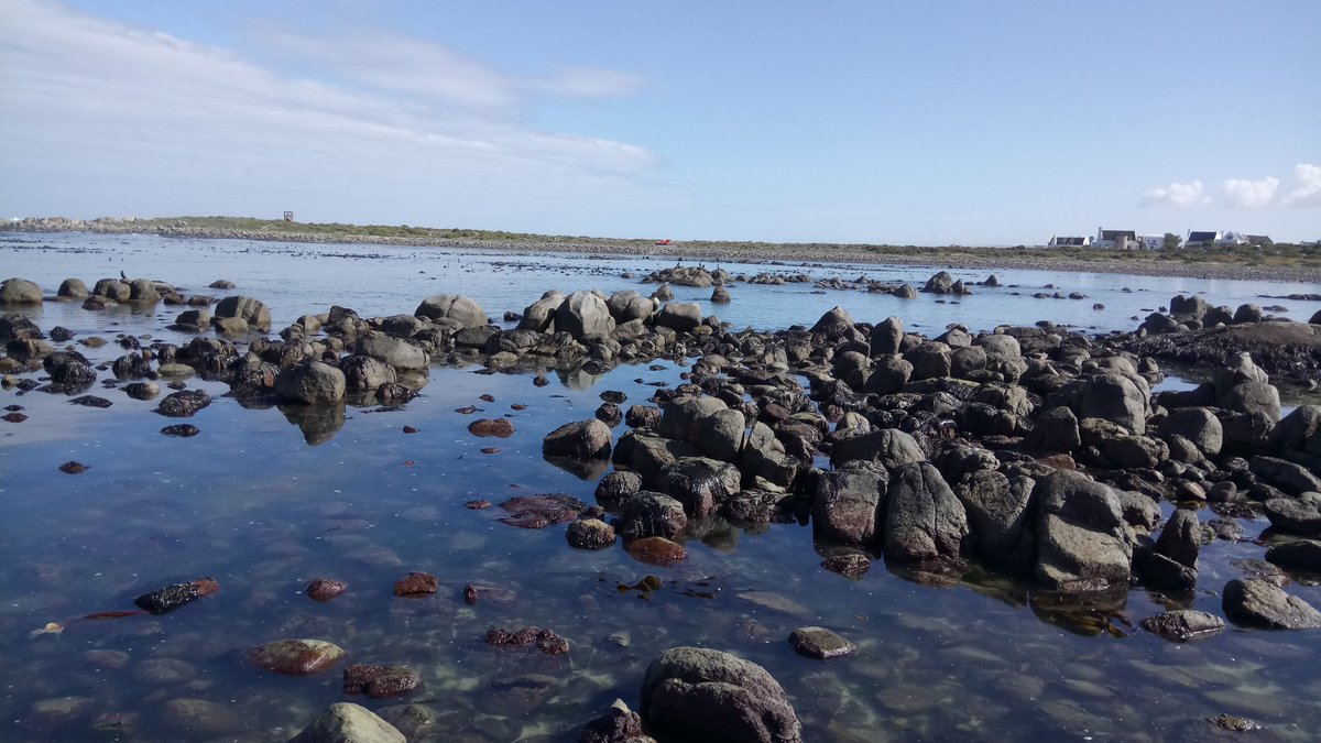 Dr Molly Clavey tweet media