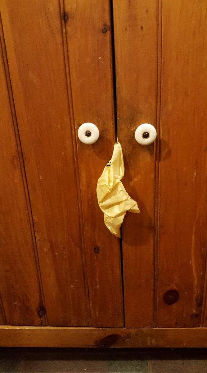 FoundAFace's tweet image. When the trash looks like it's gonna take YOU out...found by Juliann in MA. #foundaface