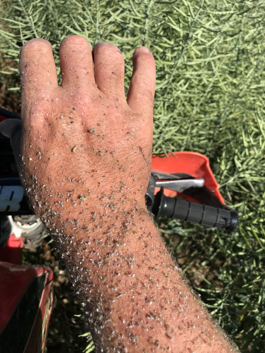 Been a bit of a wait but Plenty of good guys around now