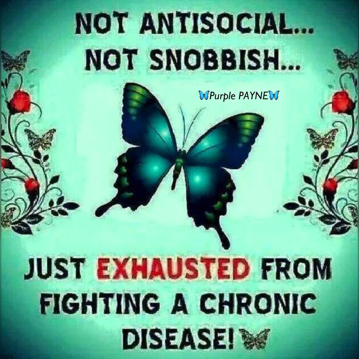 mrspayne6's tweet photo. #lupus #chronicillness #chronicpain #fibromialgia #autoimmunedisease #invisibleillness #invisiblefight #LUPUSWARRIOR #PurplePAYNE https://t.co/5NlvYXsF5F