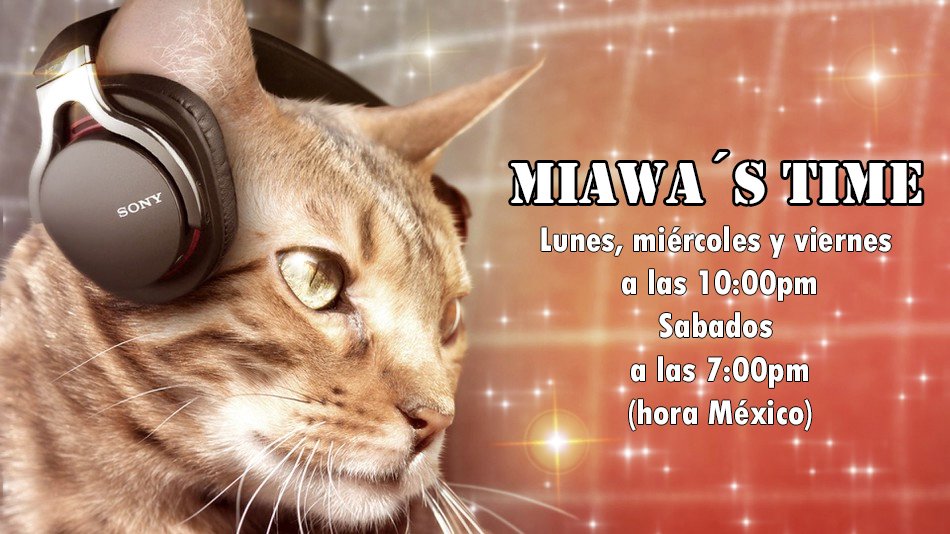 HiyukiCz's tweet photo. Hoy esta Miawa´s Time. ¿Qué les parecio? #cemzoo #radio https://t.co/aOCkGkdbM8 https://t.co/SIA6c5wvKw