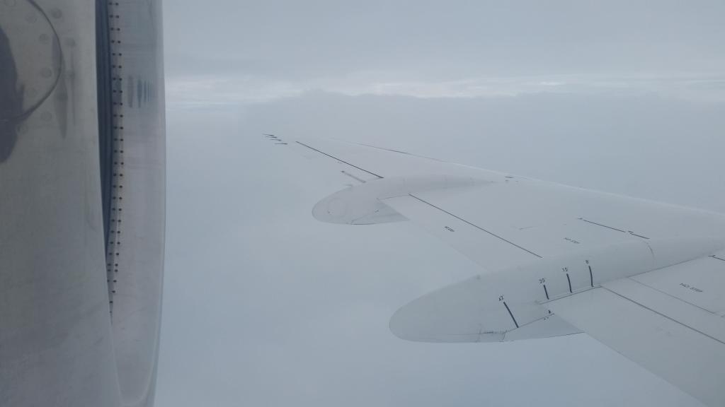 Sully27gp's tweet photo. #wingwatch Fokker 100 ROK - BNE https://t.co/w9SNTwvMG4