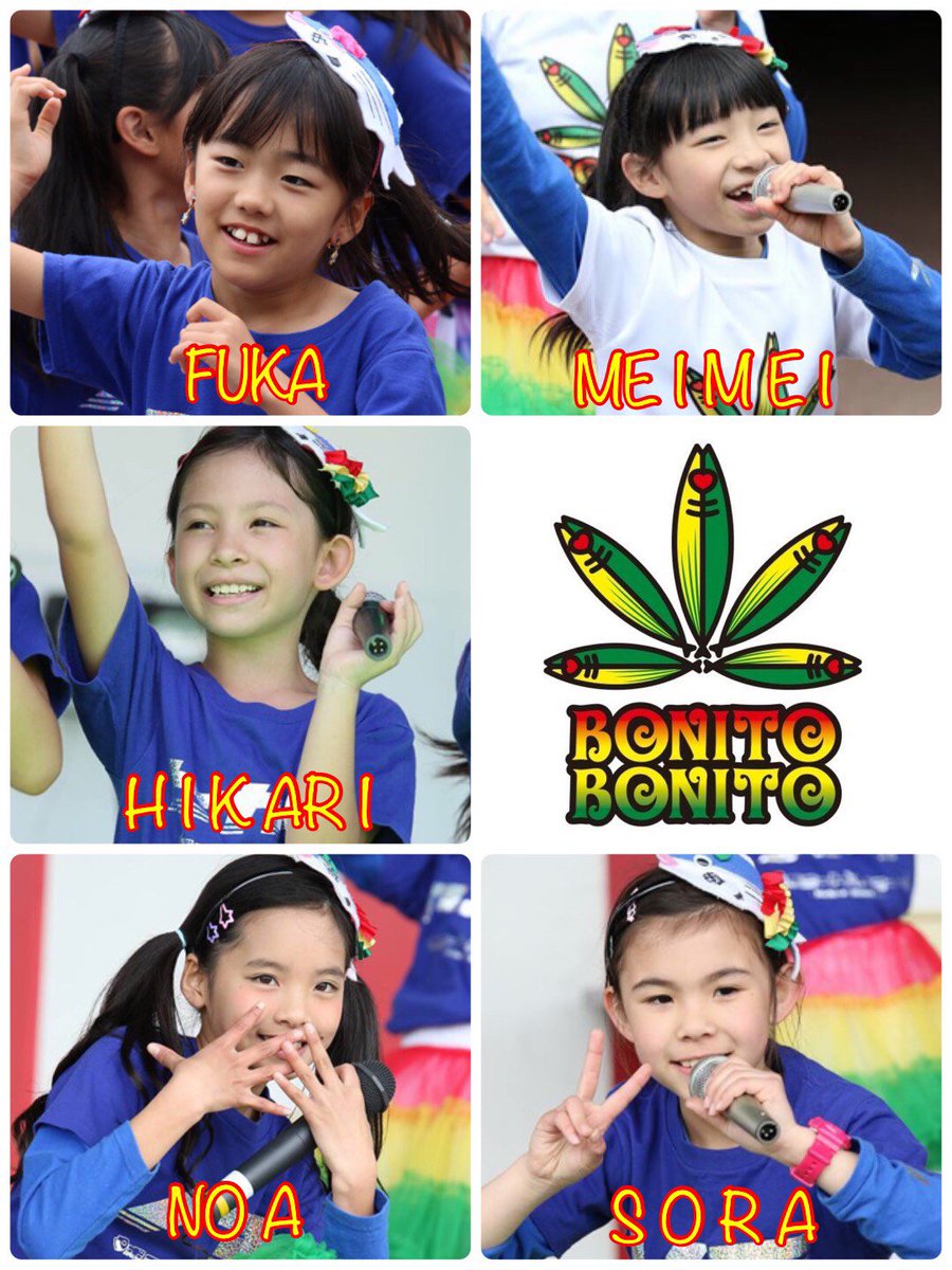 ブリッジ　Bonito ボニート50g Bonito Del Norte in Olive Oil | Pantry Shelf | Conserva Culture