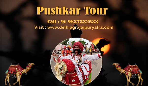 indiatrip_tour's tweet photo. #delhiagrajaipuryatra #rajasthantour #pushkartour #temples #pushkarlake #bathingghats #holyriver #excitement #enjoy
https://t.co/3JMe0SIL3q https://t.co/oZi6wN8Qbw