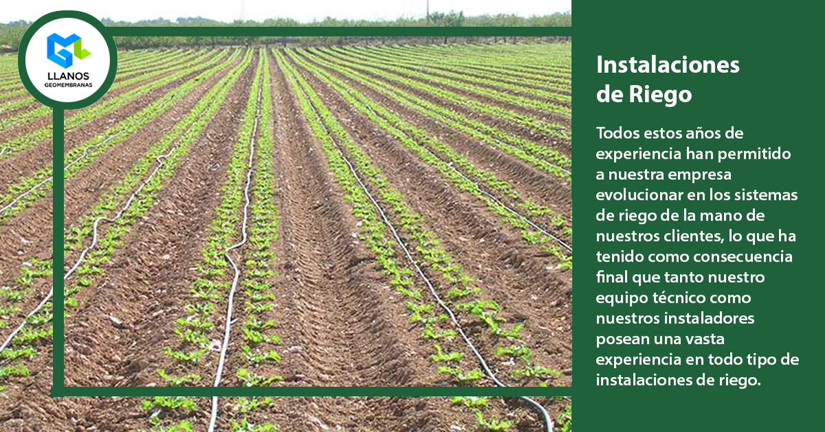 GeomembranasLL's tweet image. Todos estos años de experiencia han permitido a nuestra empresa evolucionar en los sistemas de riego de la mano de nuestros clientes.