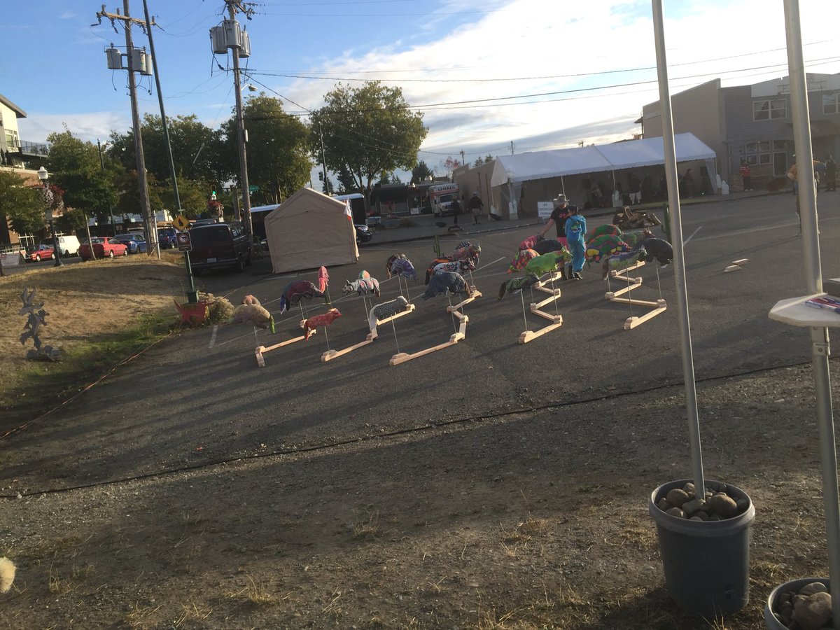 CoyoteGarden's tweet photo. Coyote Garden invaded urbania this weekend at #Seacompression! The last-minute hardscape solution worked. Coyotes are adaptable after all ;) https://t.co/iXHDe9omRX
