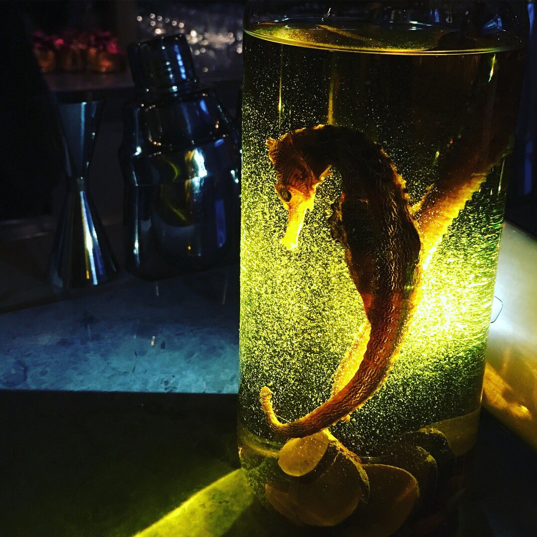 SpiritsBox tweet picture