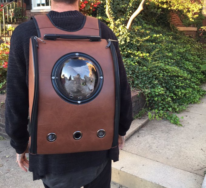 I need this in my life....someone send me one for my cats! https://t.co/3agtCZ5xw0<a href="/tag/teamcyrusxxx"class="tags"><span>#teamcyrusxxx</span></a>