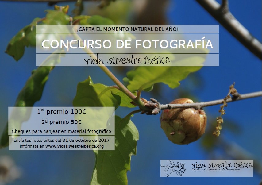 Oficina Verde URJC tweet media