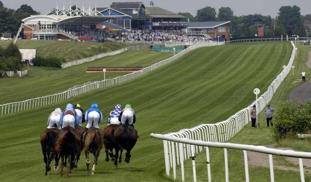 FreeRacingTips_'s tweet image. Today&apos;s NAP Tip Is - Bold Reason In The 2.00 - Leicester dld.bz/FreeRacingTips