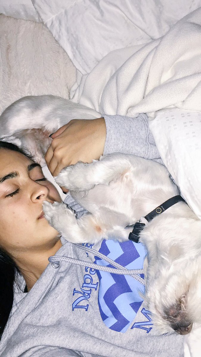 Banneebee's tweet photo. She's a level 10 cuddler and I absolutely love it. 😂💙 https://t.co/OqCvZQyDBS
