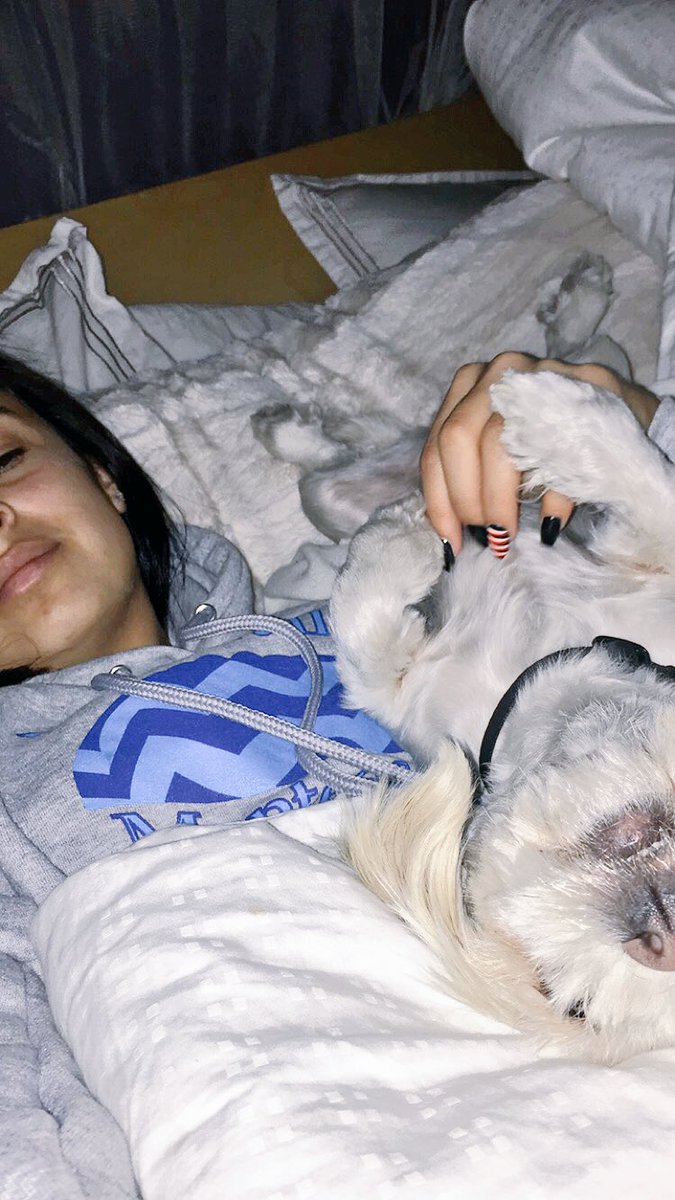 Banneebee's tweet photo. She's a level 10 cuddler and I absolutely love it. 😂💙 https://t.co/OqCvZQyDBS